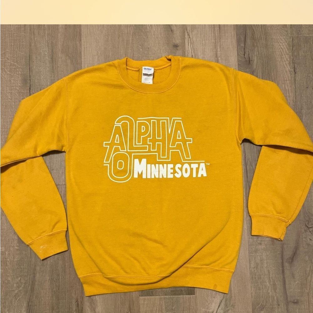 Alpha Omicron Pi Sweatshirt